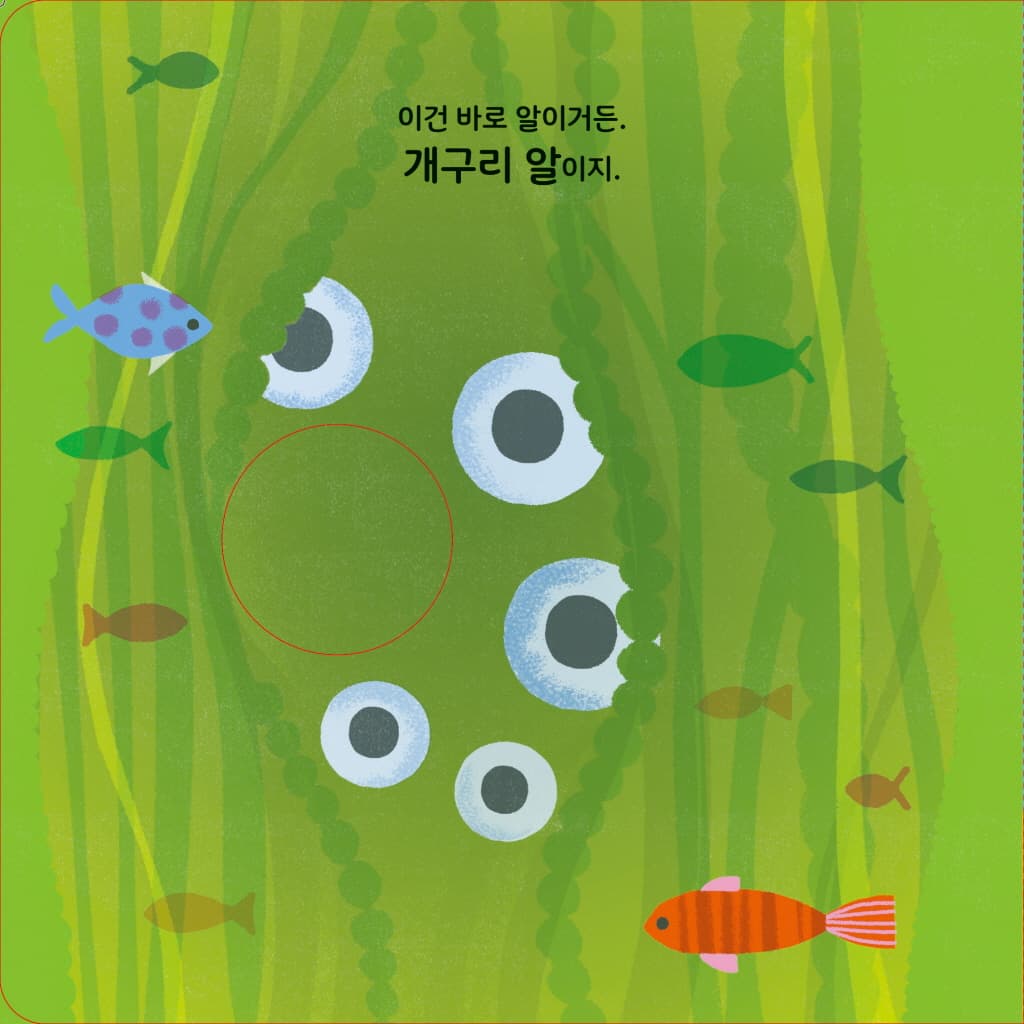 개구리 한 마리가