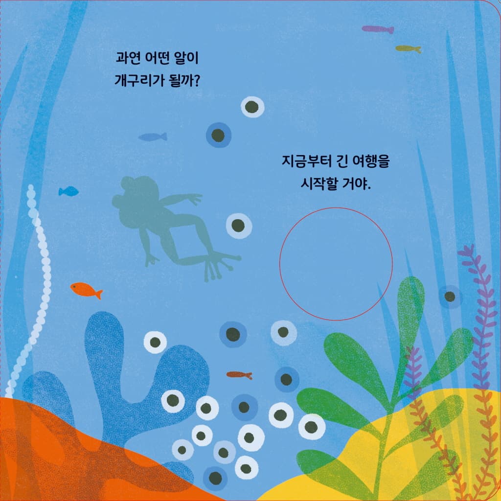 개구리 한 마리가