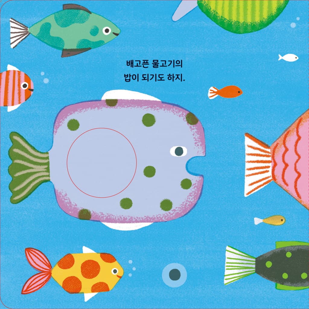 개구리 한 마리가