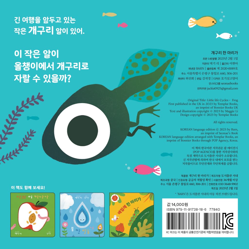 개구리 한 마리가