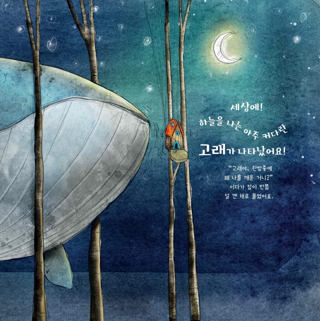 이다와 하늘을 나는 고래