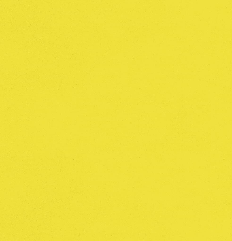 민들레사자의 꿈