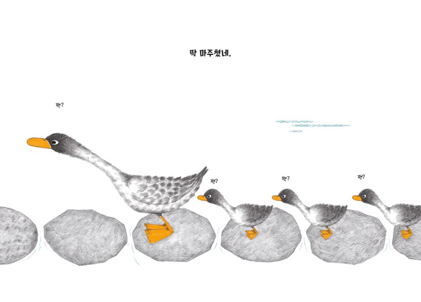 개울개울 징검다리