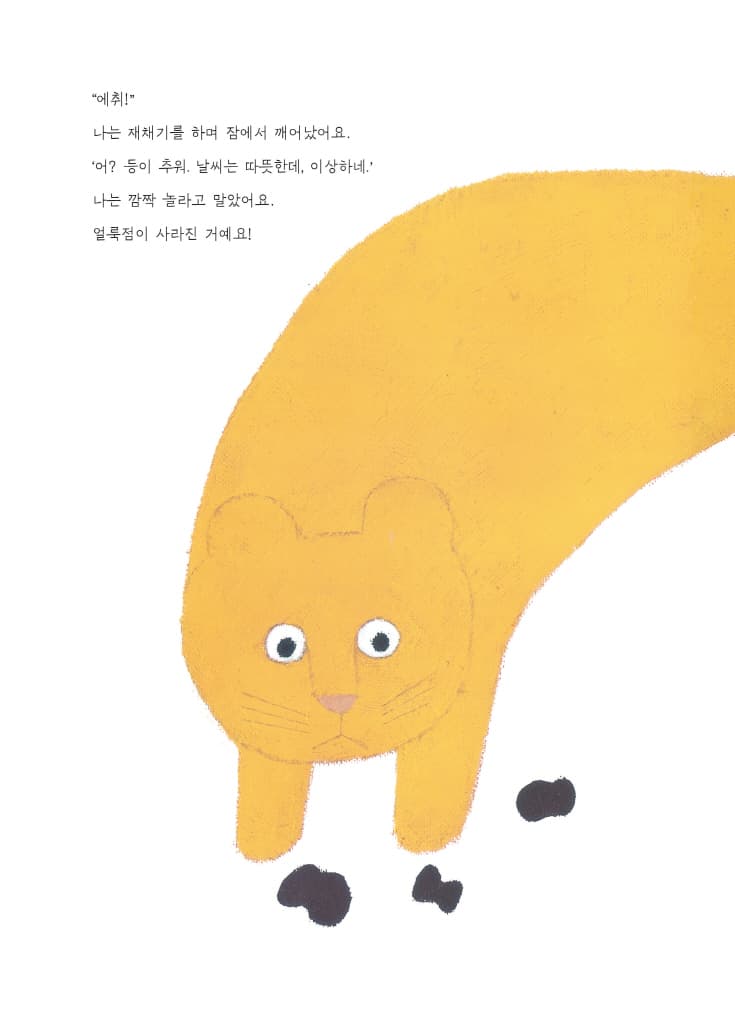 밀림에서 가장 아름다운 표범