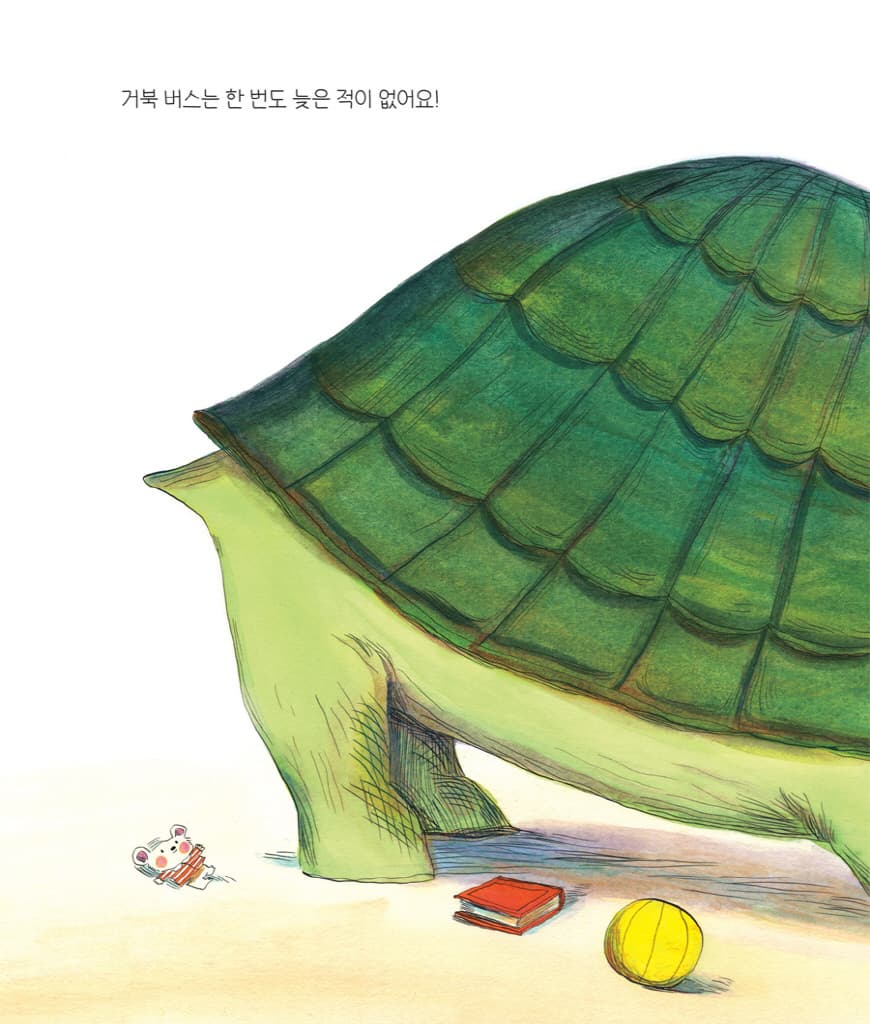 거북 버스는 늦지 않아요