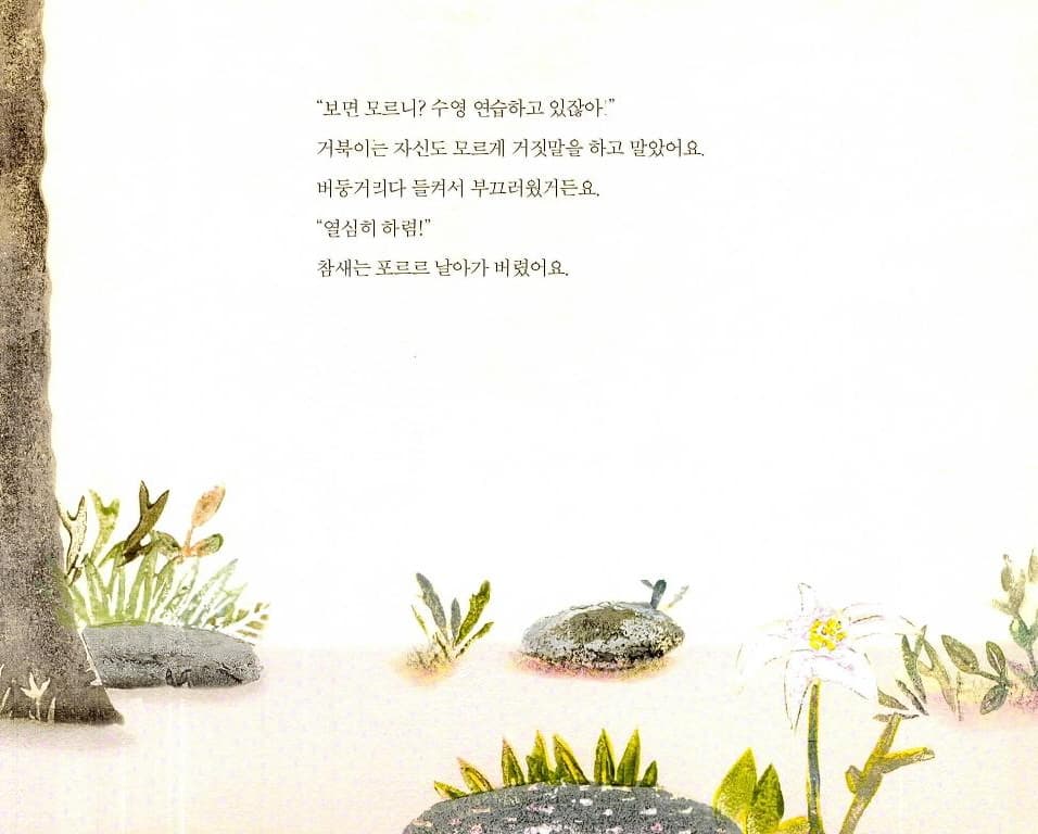 거북아, 뭐 하니?