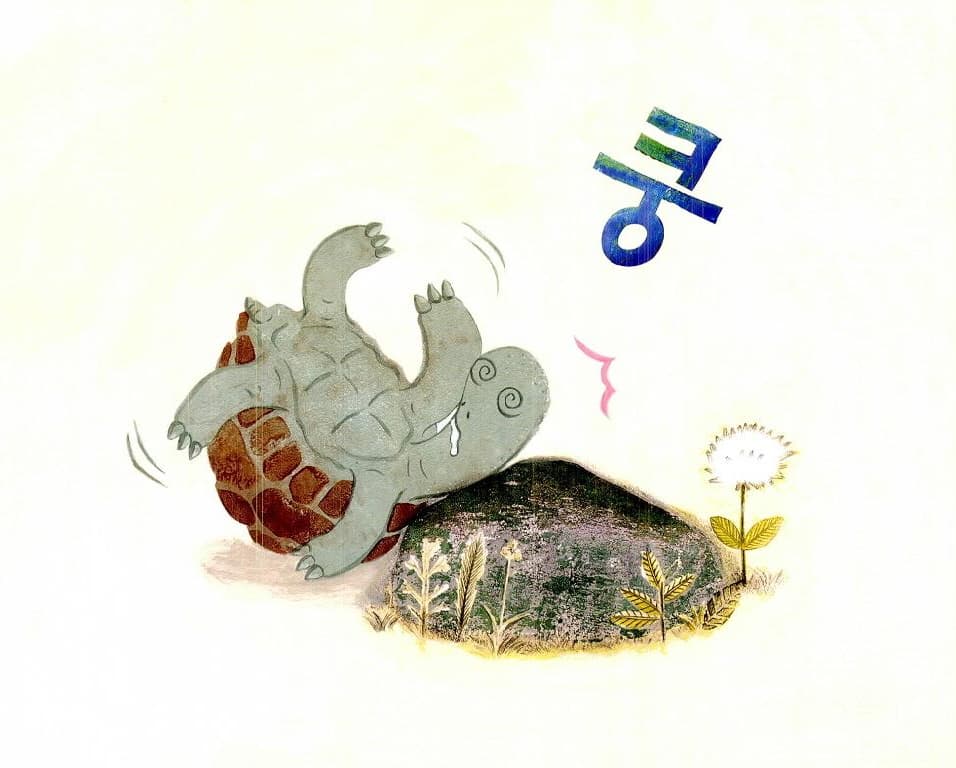 거북아, 뭐 하니?