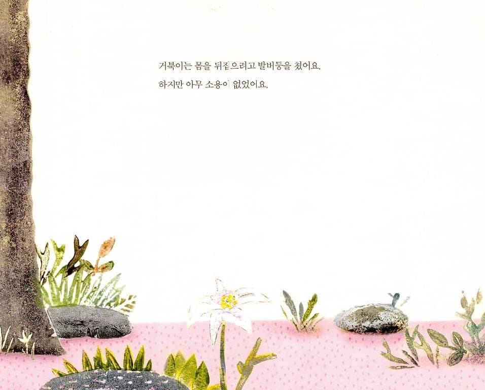 거북아, 뭐 하니?