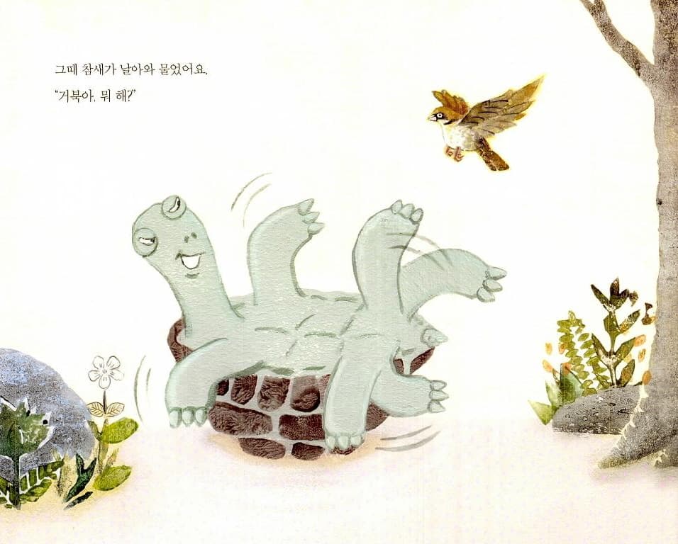 거북아, 뭐 하니?