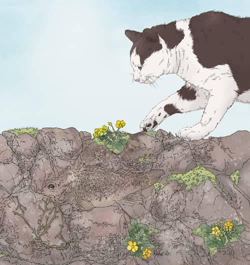 이상한 하루