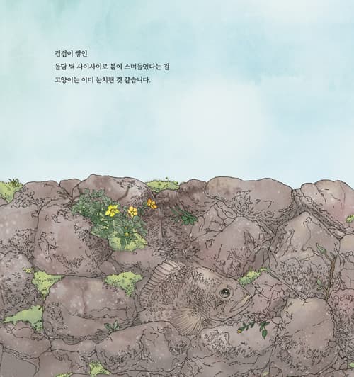 이상한 하루
