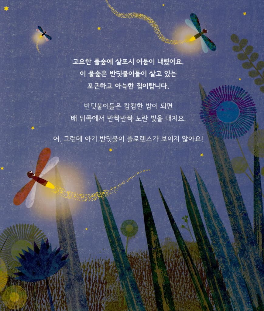 반짝반짝 반딧불이 플로렌스