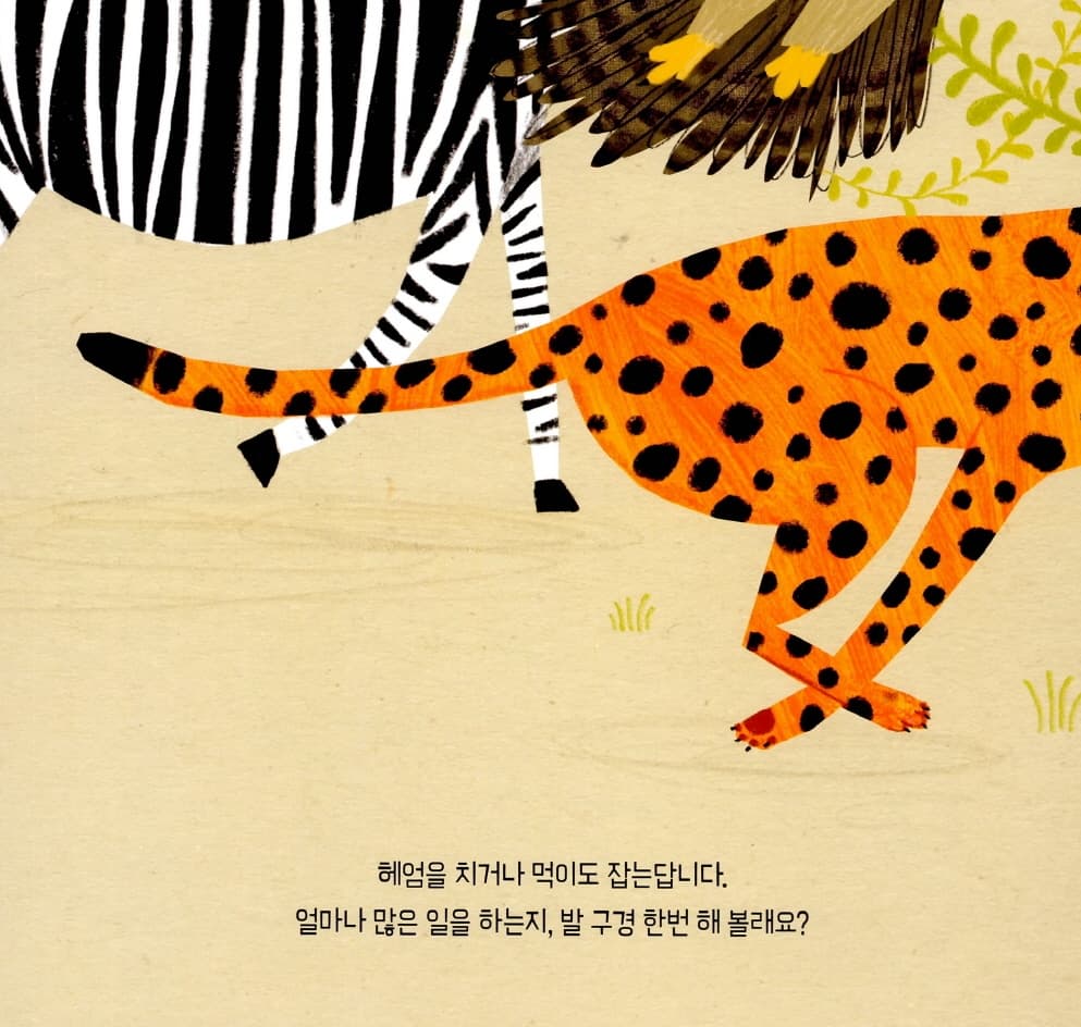 발, 발, 누구 발?