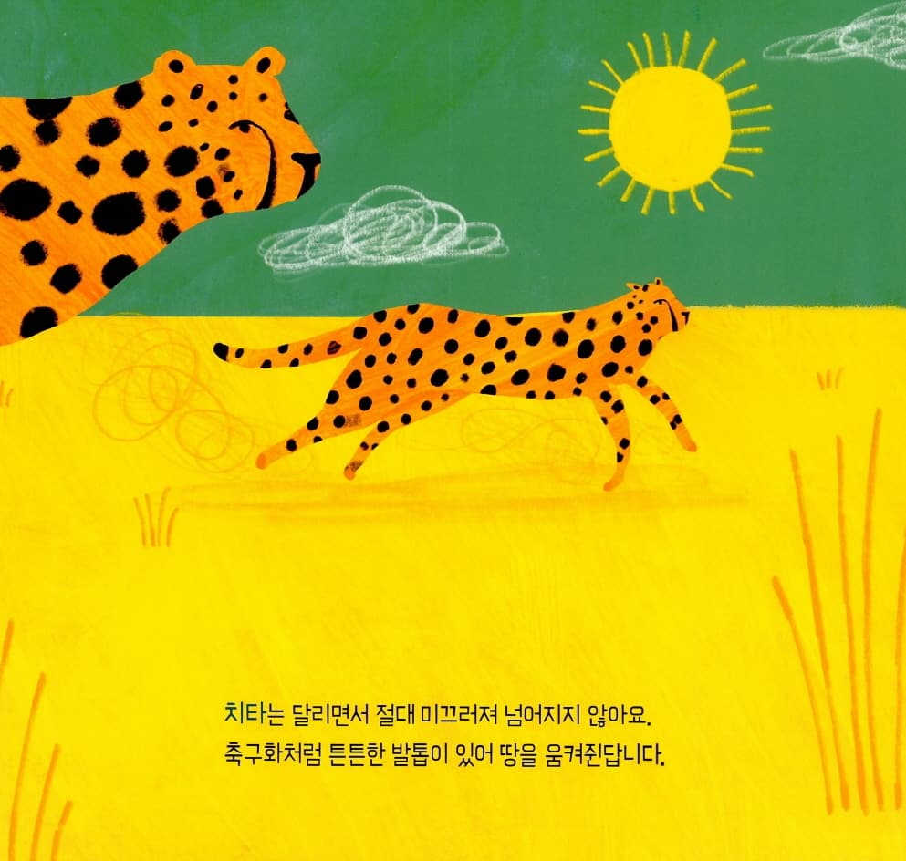 발, 발, 누구 발?