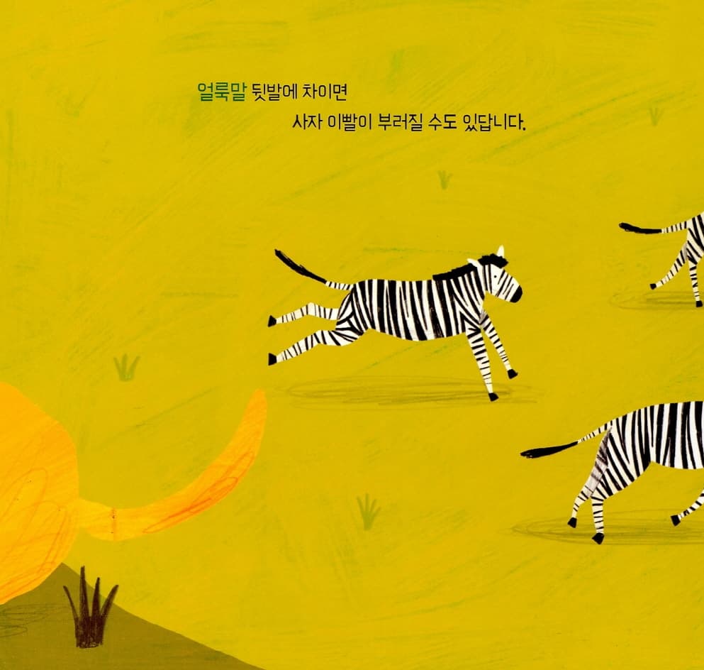 발, 발, 누구 발?