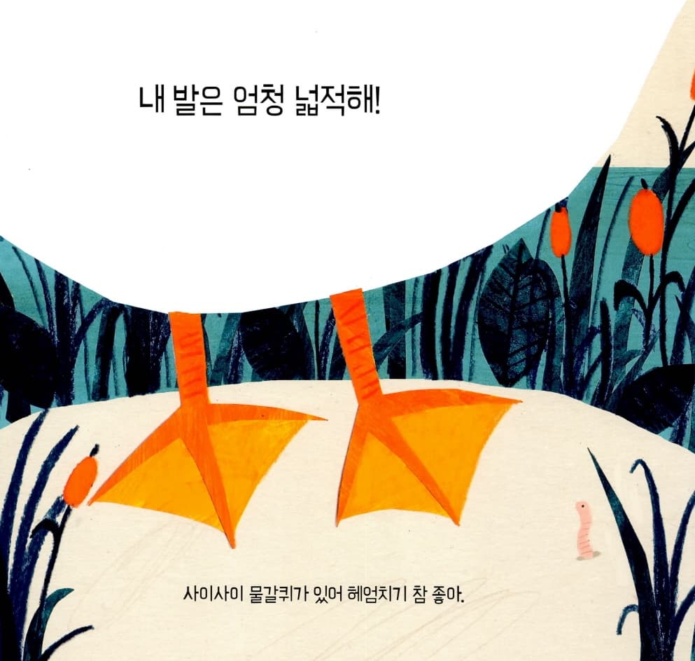 발, 발, 누구 발?