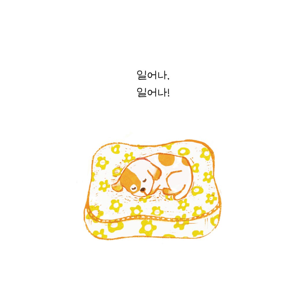 일어나! 아침이야