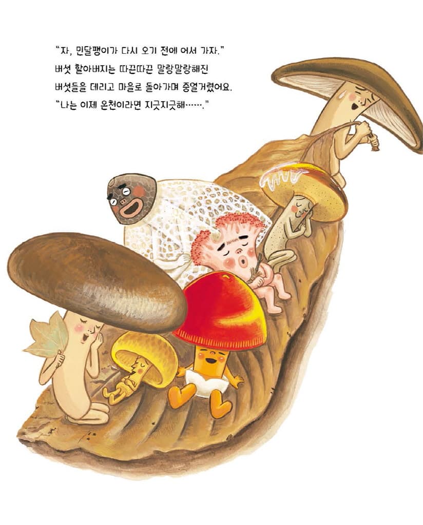 버섯 할아버지의 축축 골짜기 대모험