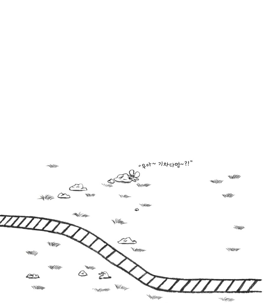 기차다냥