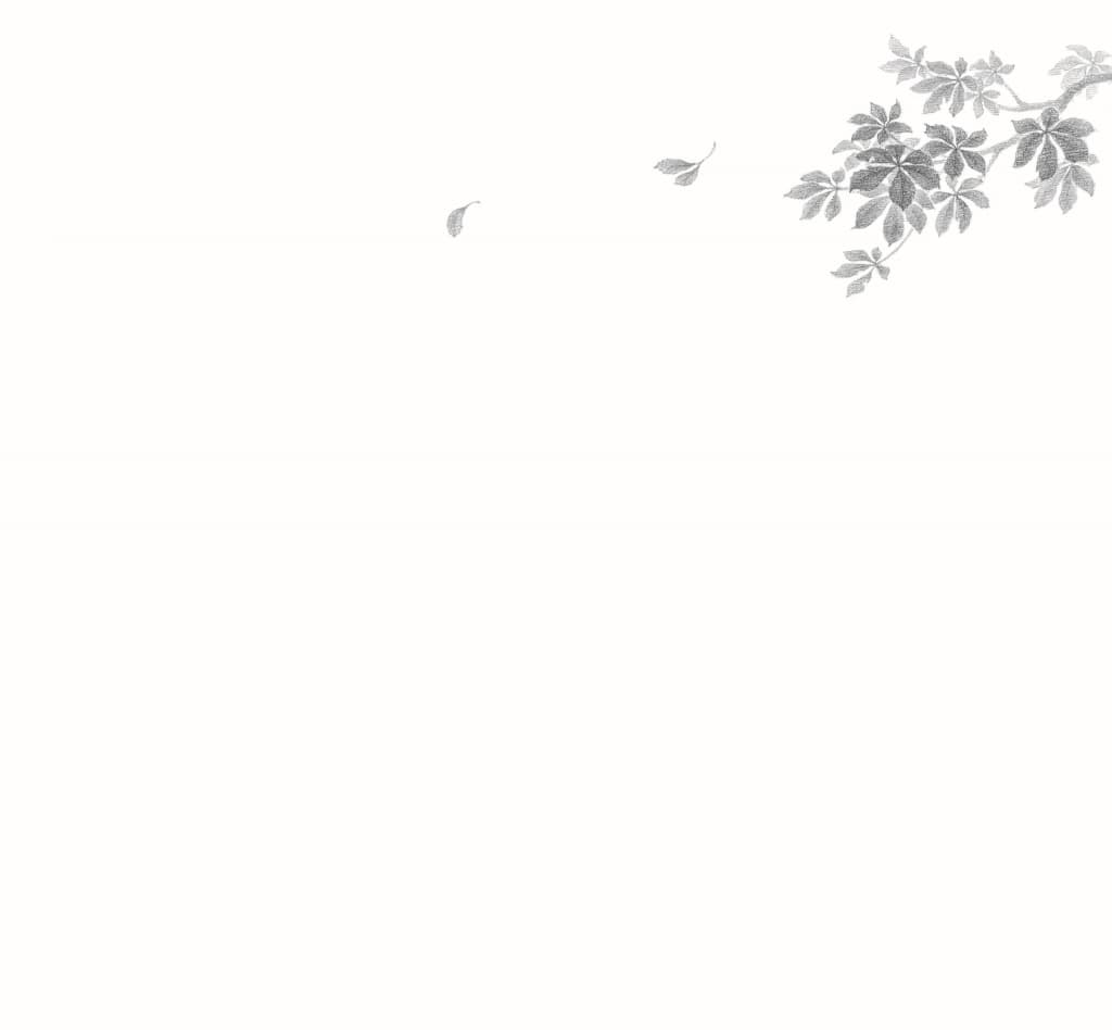 걷다 보면