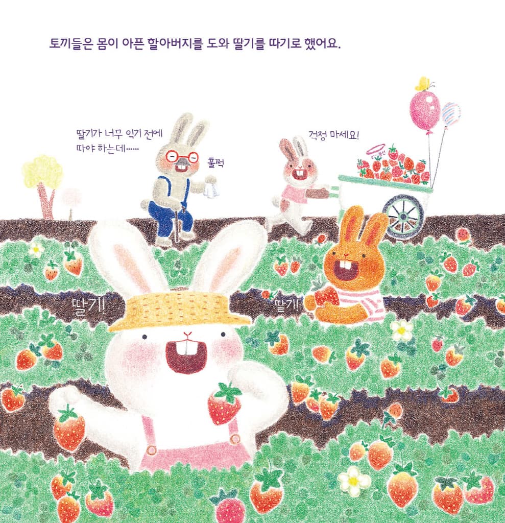 봄봄 딸기