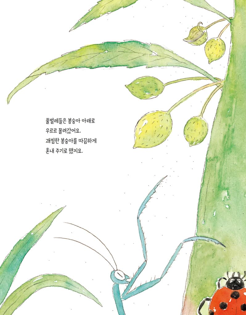 봉숭아 통통통
