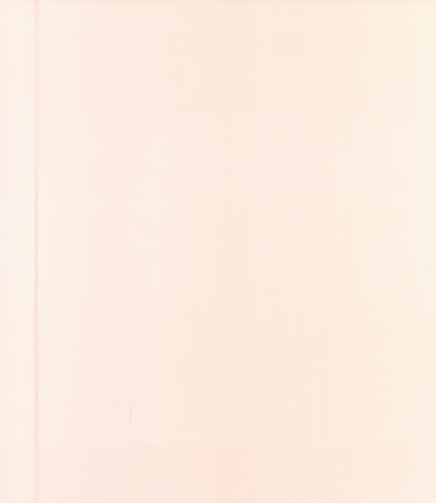 봉지공주와 봉투왕자