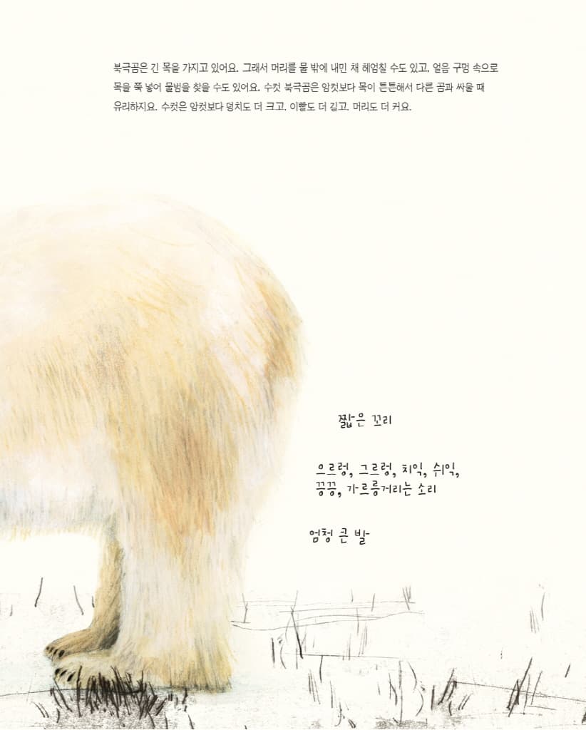 북극곰