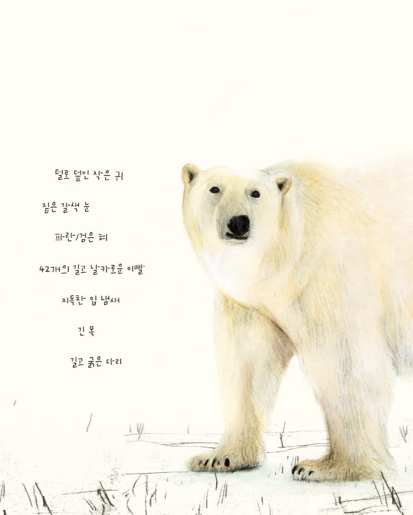 북극곰