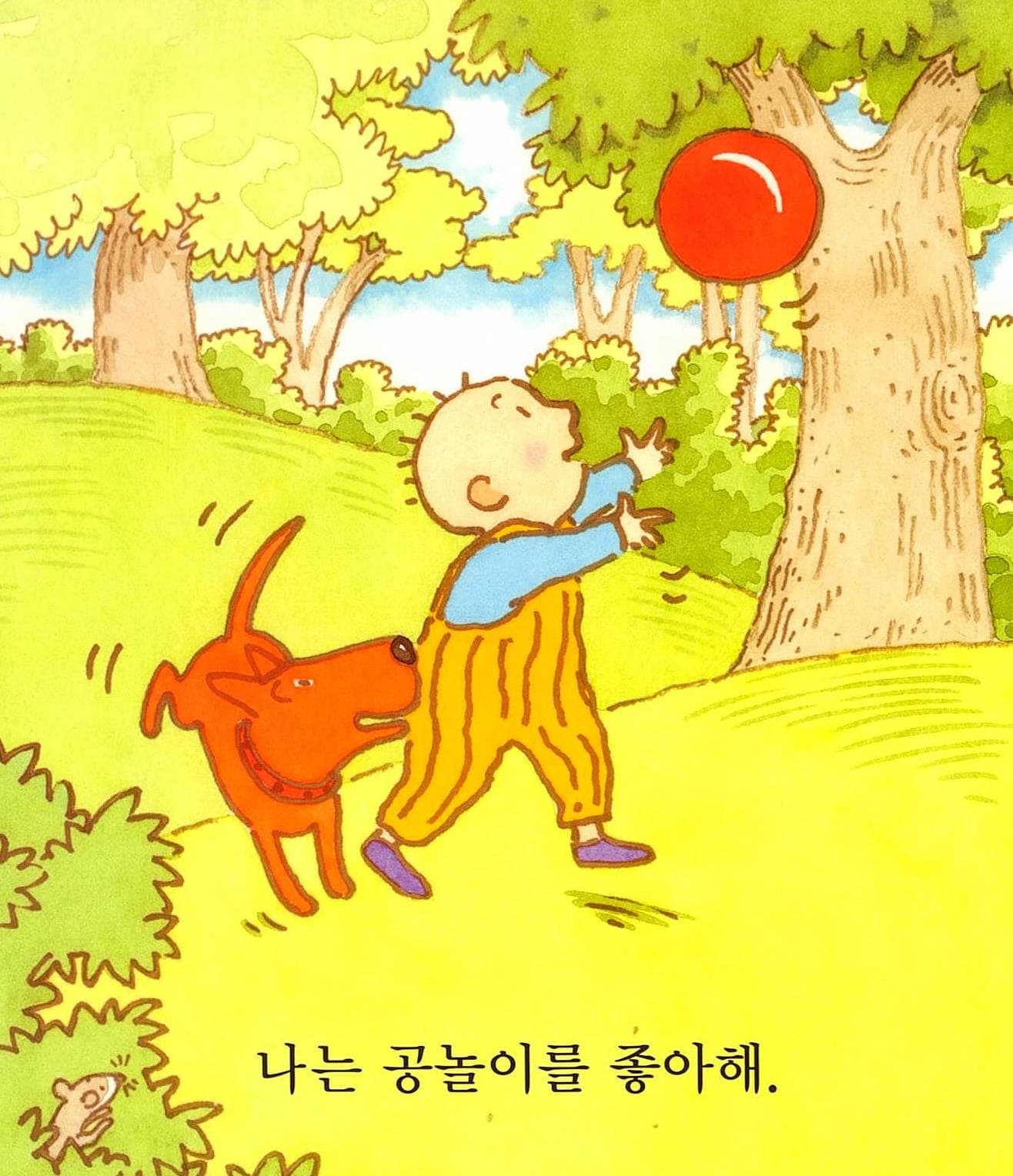 재미있는 내 얼굴
