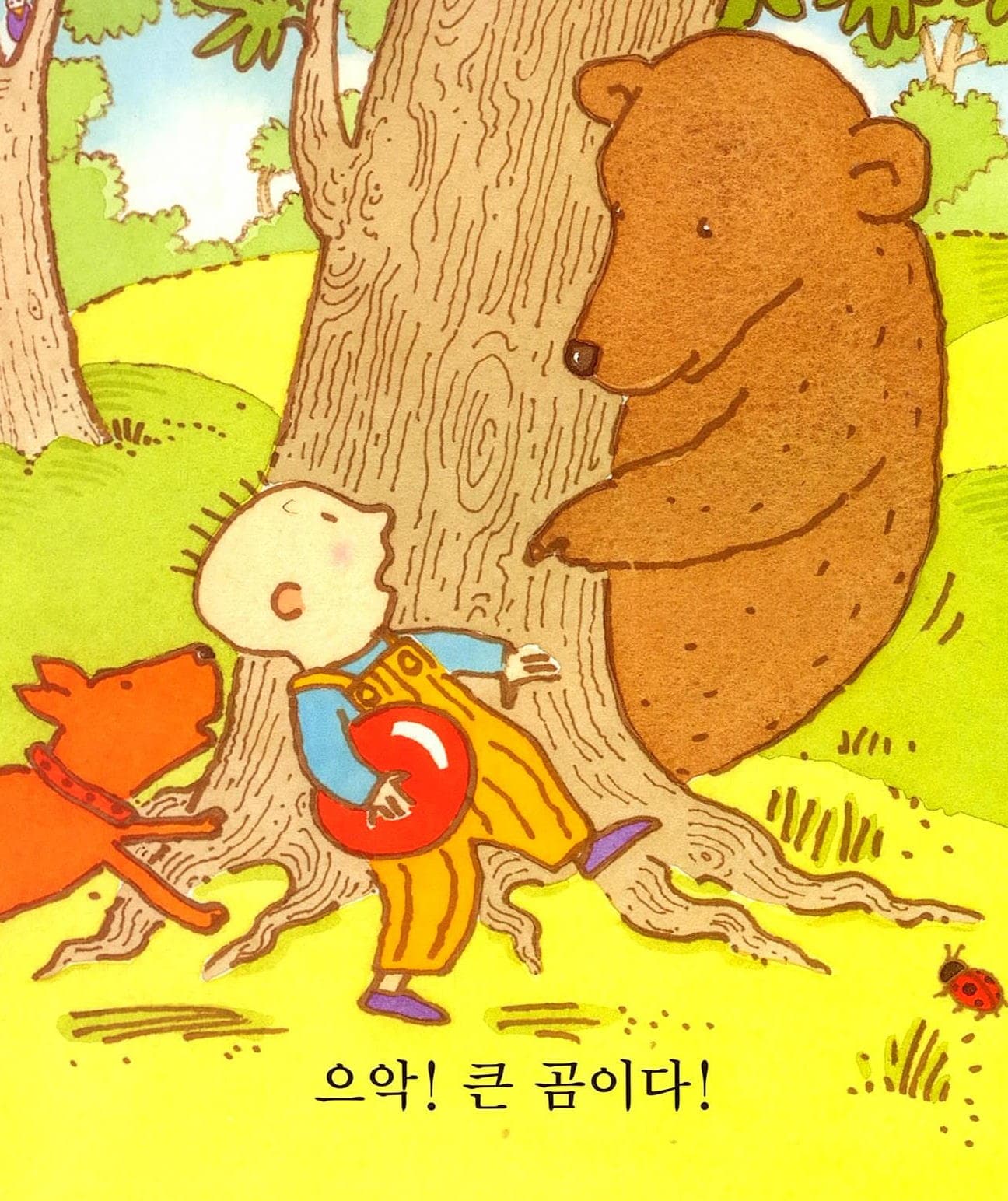 재미있는 내 얼굴