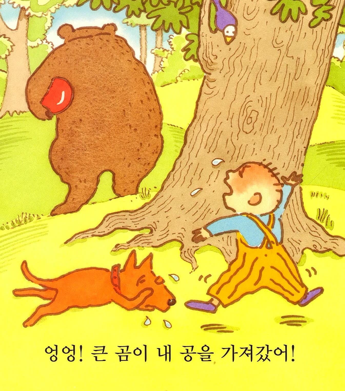 재미있는 내 얼굴