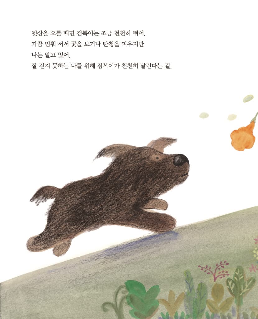 점복이 깜정이