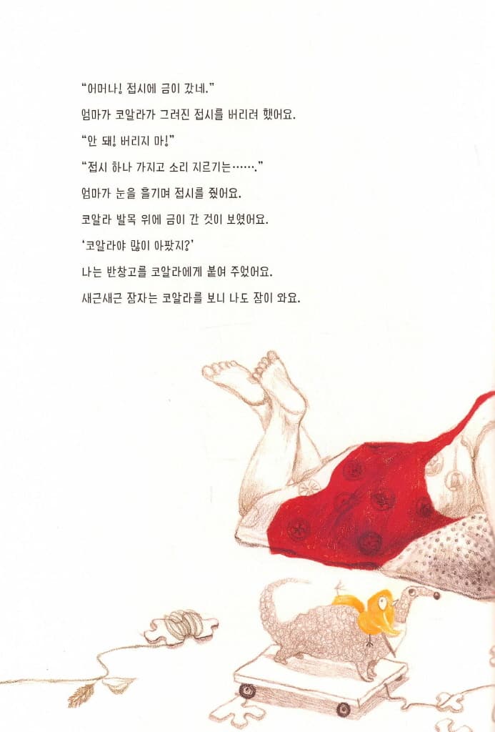 접시의 비밀