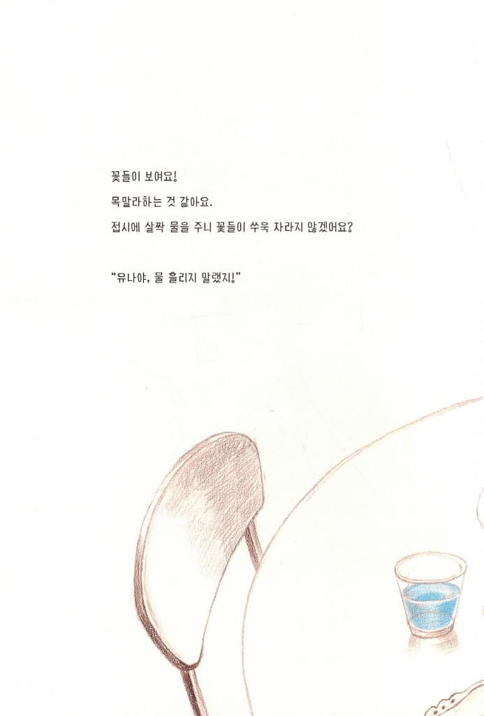 접시의 비밀