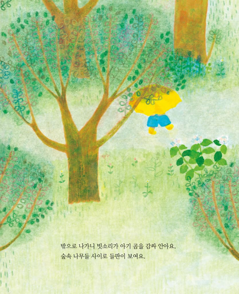 비 오는 날 숲속에는