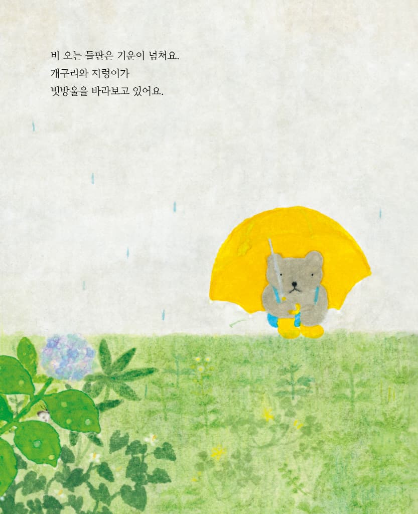 비 오는 날 숲속에는