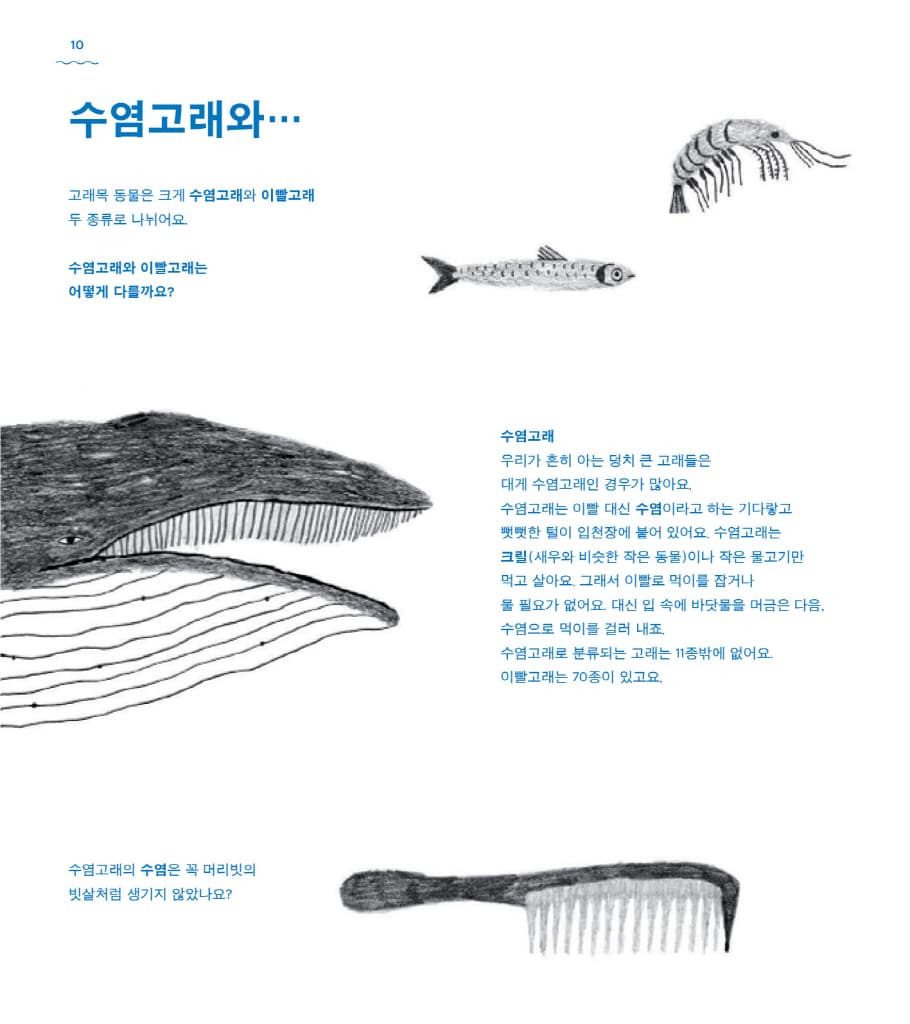 고래 책