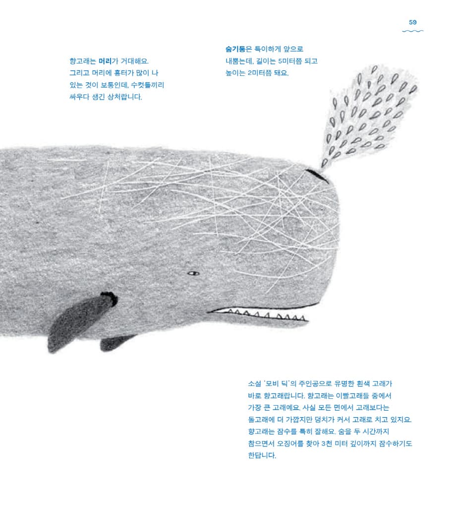 고래 책