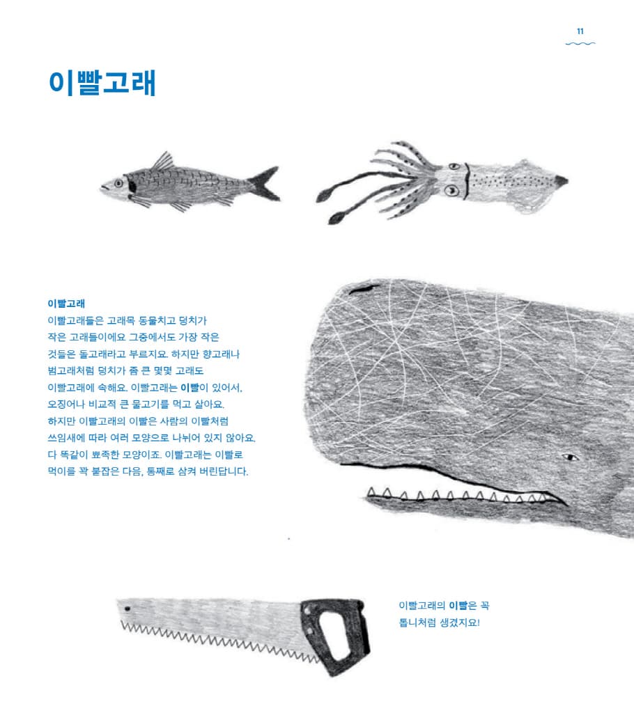 고래 책