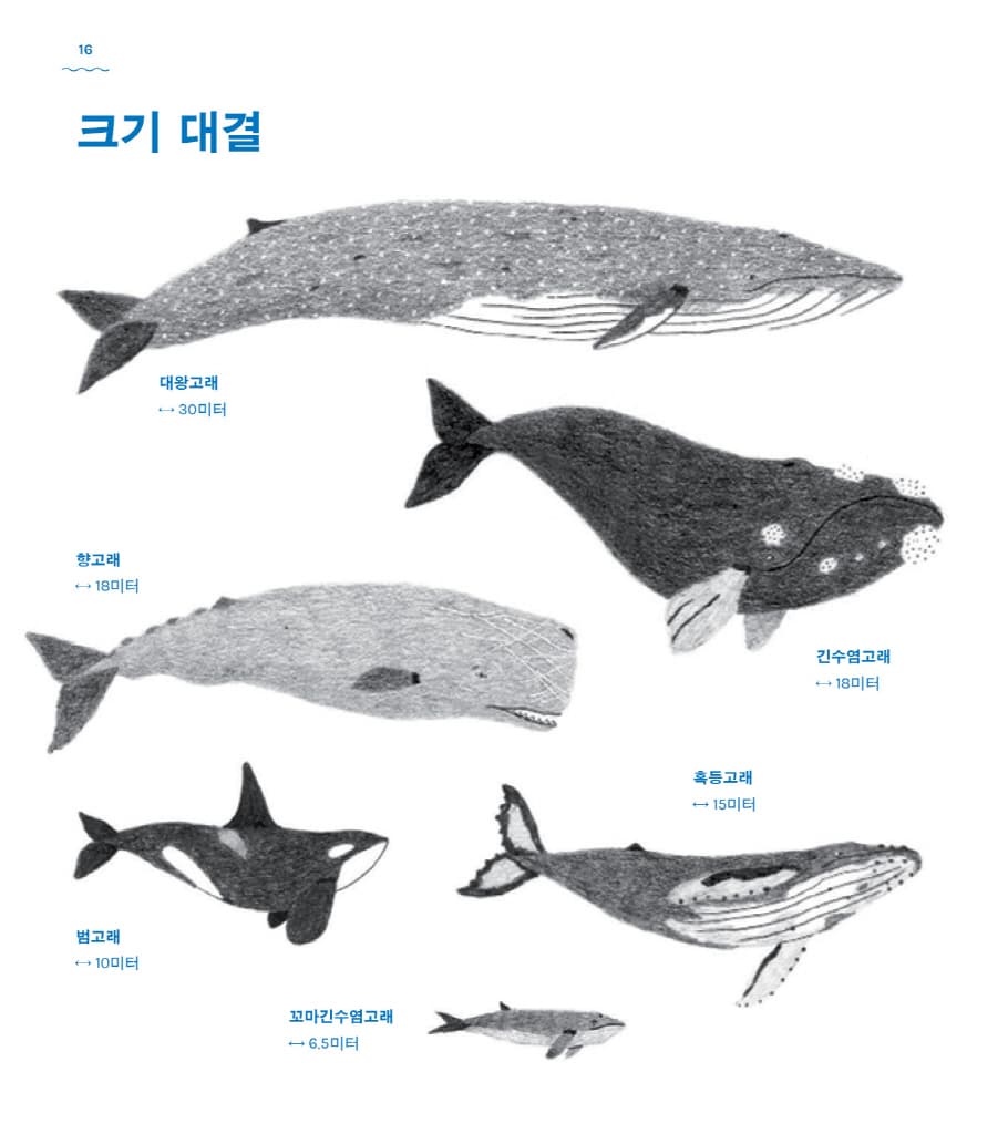 고래 책