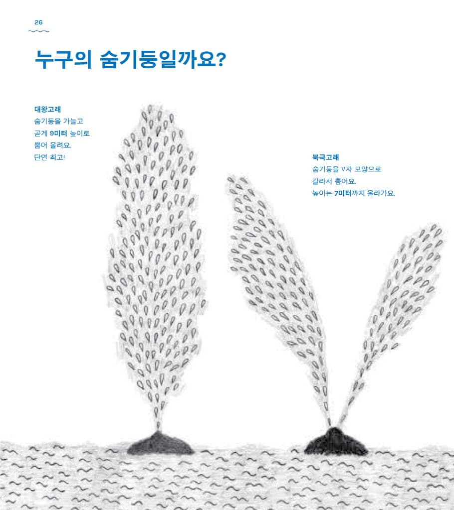 고래 책