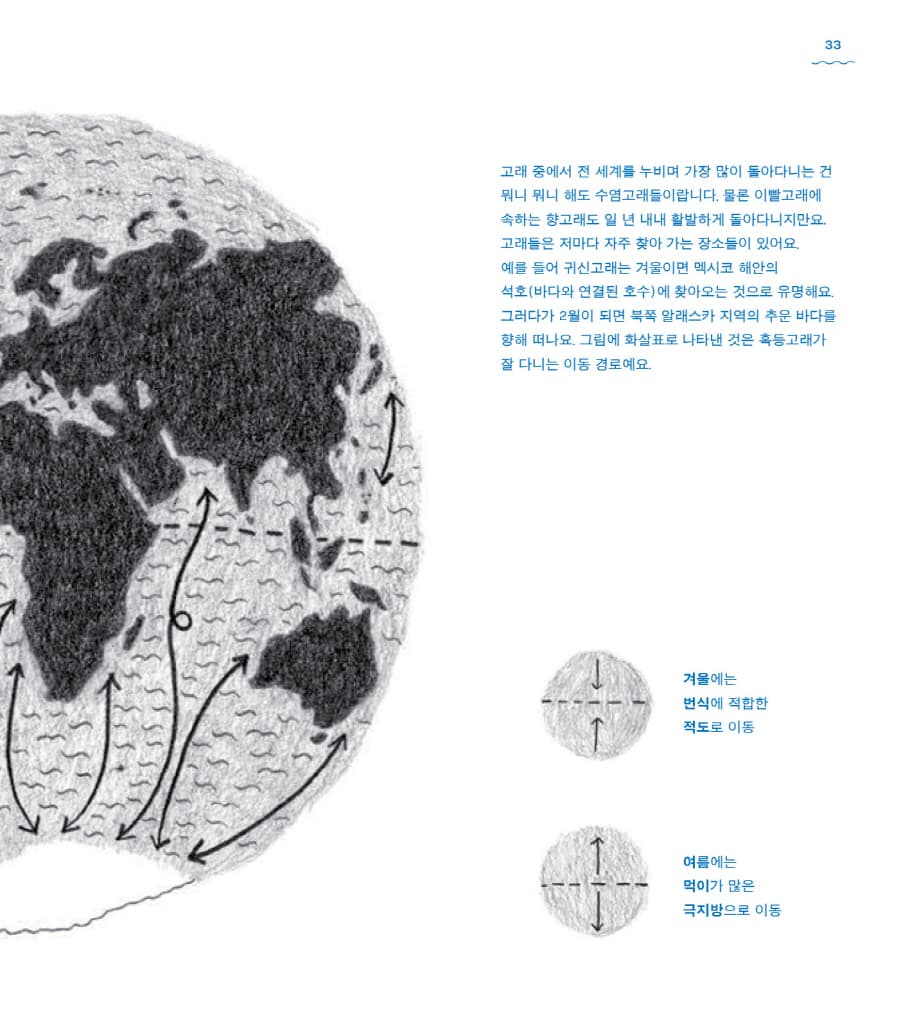 고래 책