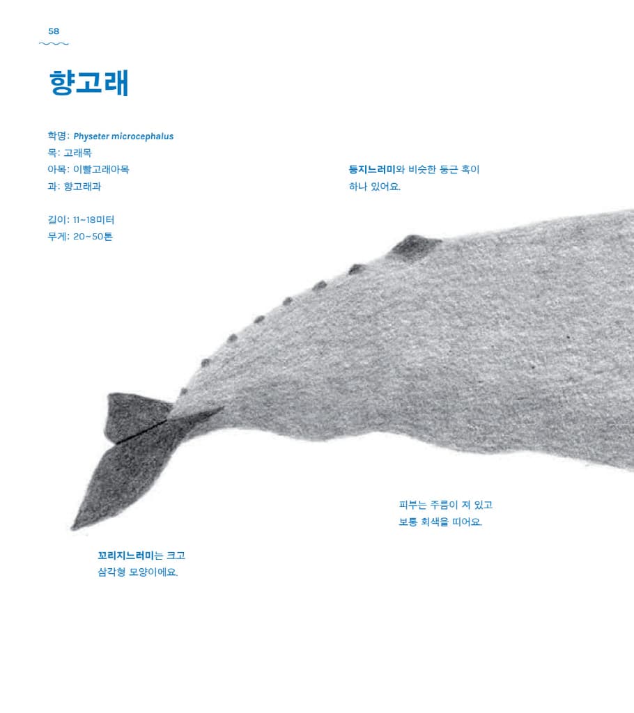 고래 책