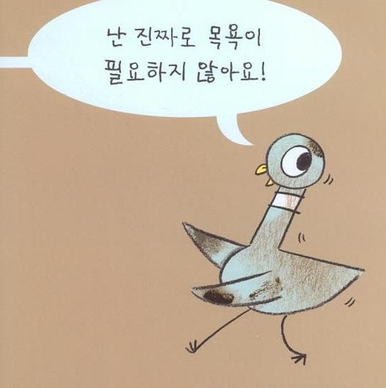 비둘기는 목욕이 필요해요!