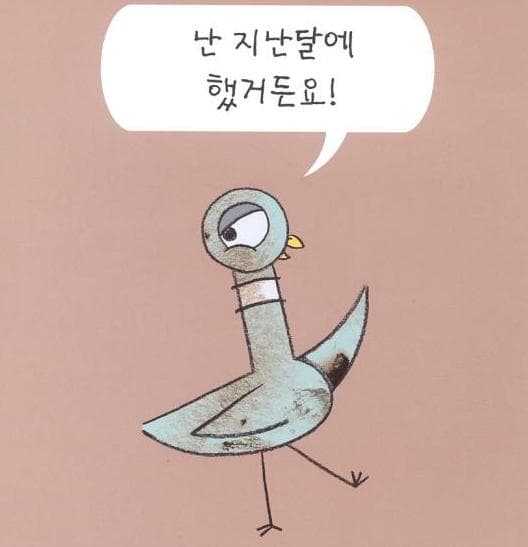 비둘기는 목욕이 필요해요!