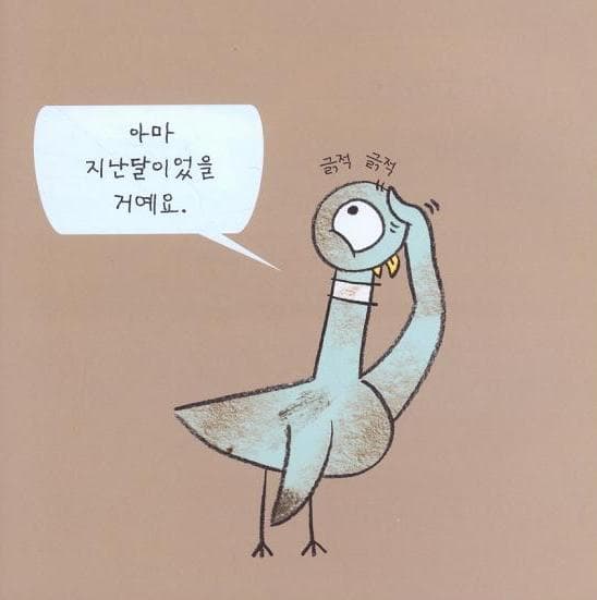 비둘기는 목욕이 필요해요!
