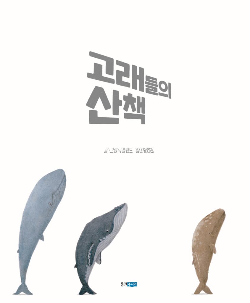 고래들의 산책