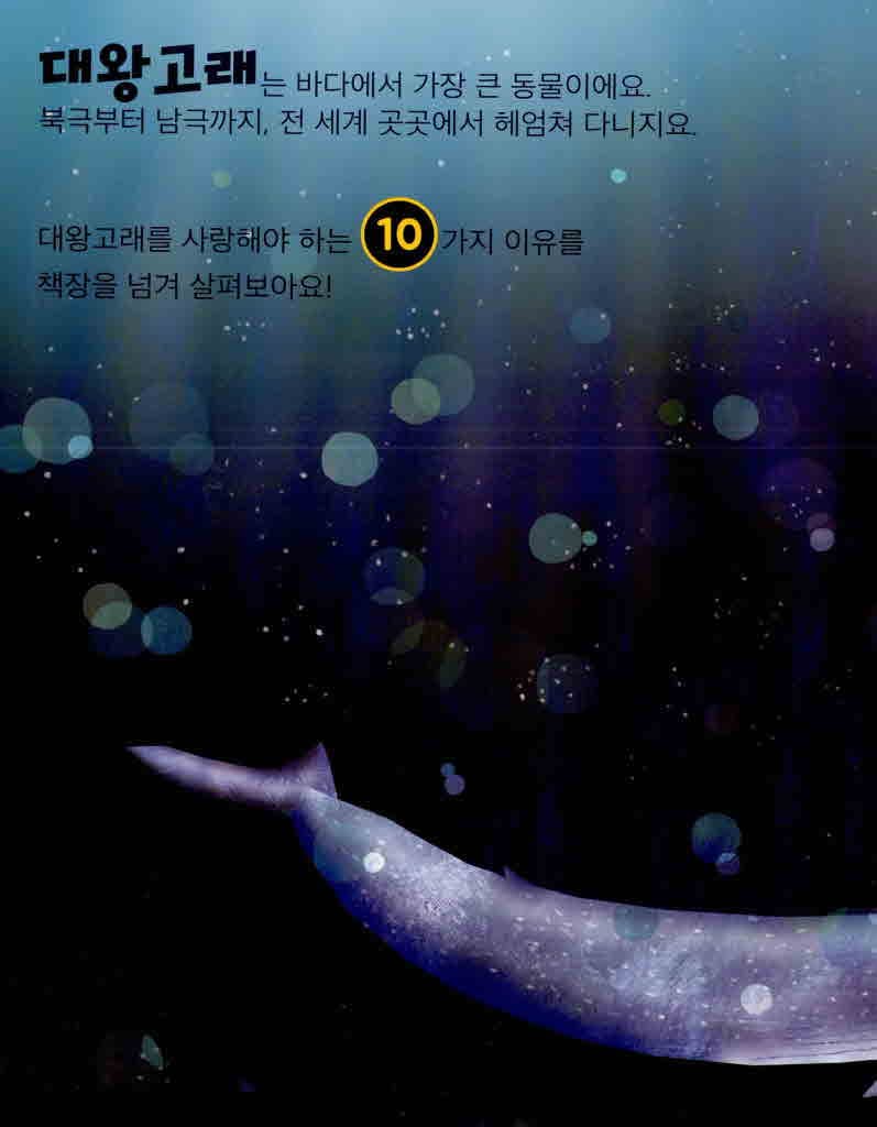고래를 사랑해야 하는 10가지 이유