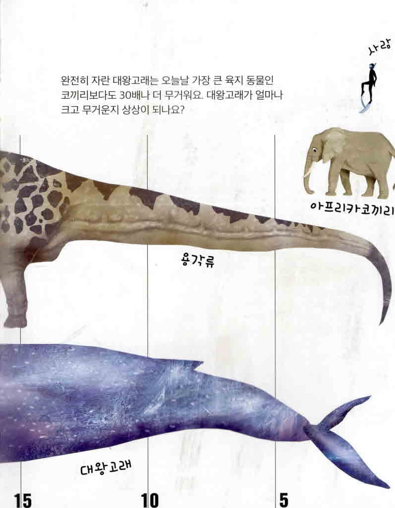 고래를 사랑해야 하는 10가지 이유